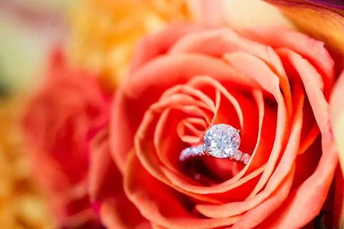 Bill Motzing Photography 6