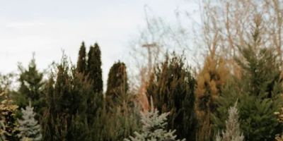Ronnie Mae Photography LLC