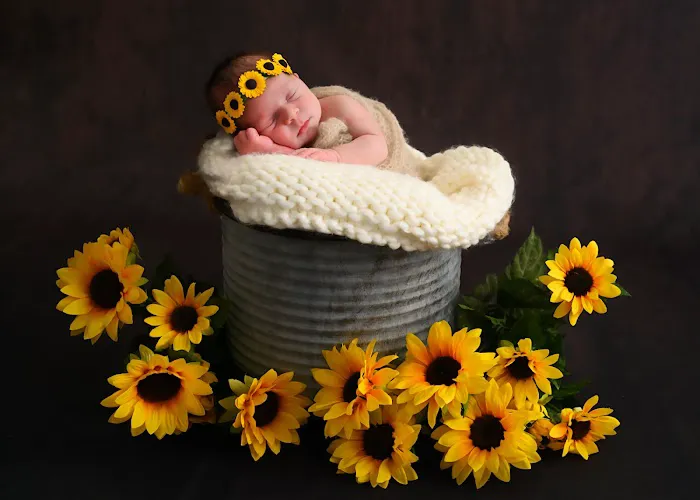 Dina Drew Duva Photography 0