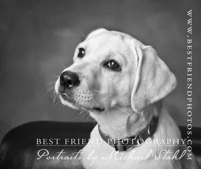 Best Friend Photography/Portraits by Michael Stahl 6