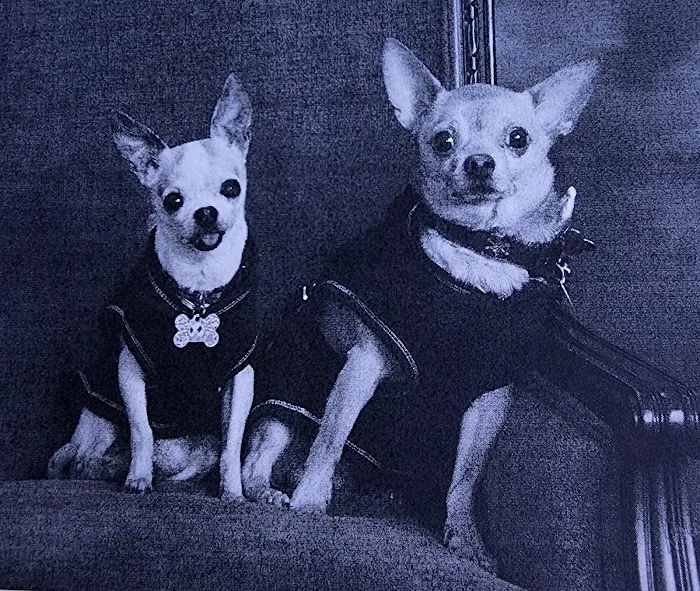 Kramer Portraits 4