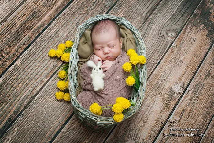 NewDay Pictures Photography and Videography 5