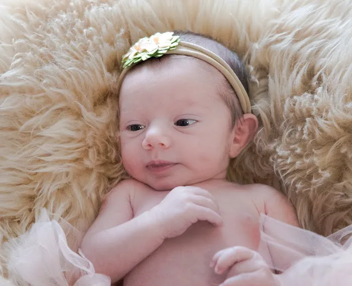 Westchester Family Photography 6
