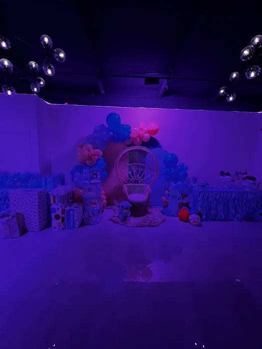 Z Studios 2