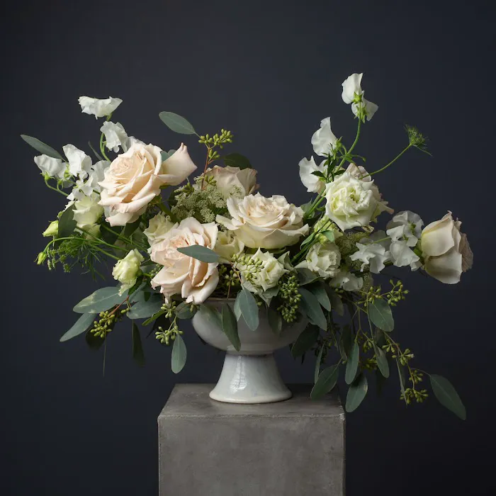 Jane Sikorski Photography 0