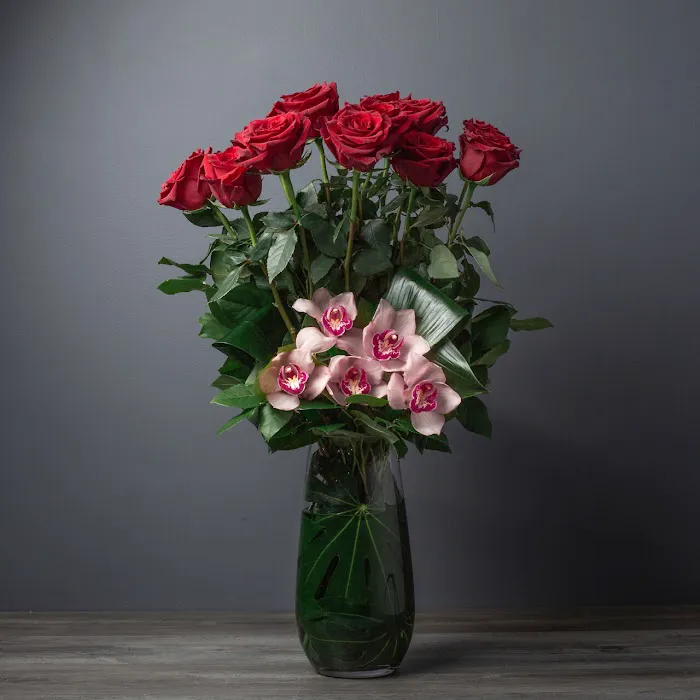 Jane Sikorski Photography 1
