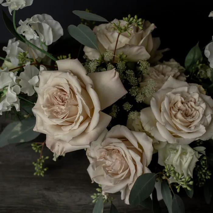 Jane Sikorski Photography 3