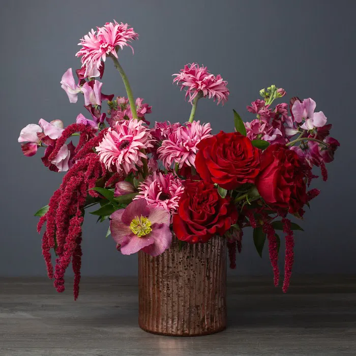 Jane Sikorski Photography 4