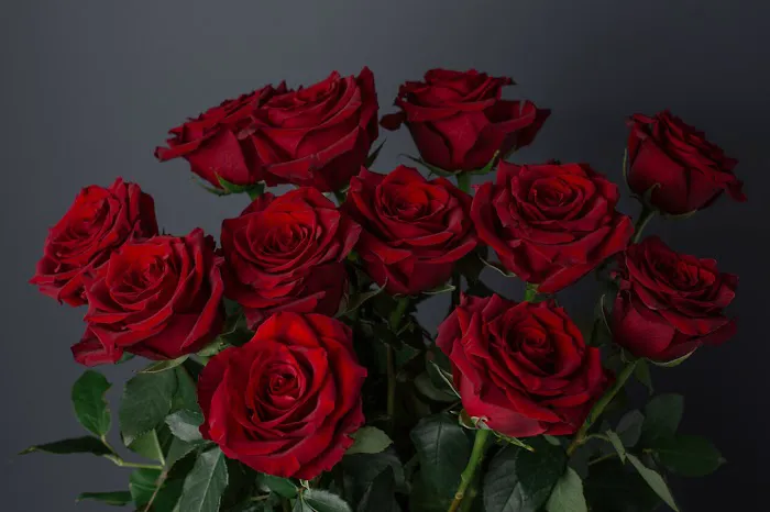 Jane Sikorski Photography 5