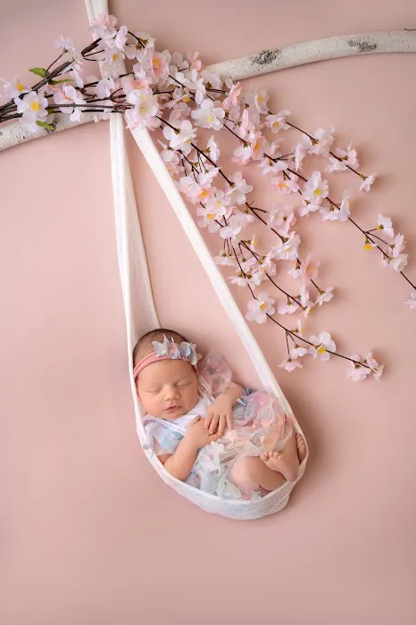 Heather Tietjen Photography 6