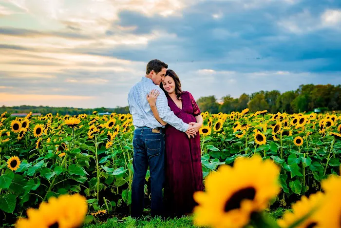 Renee Green Photography 1
