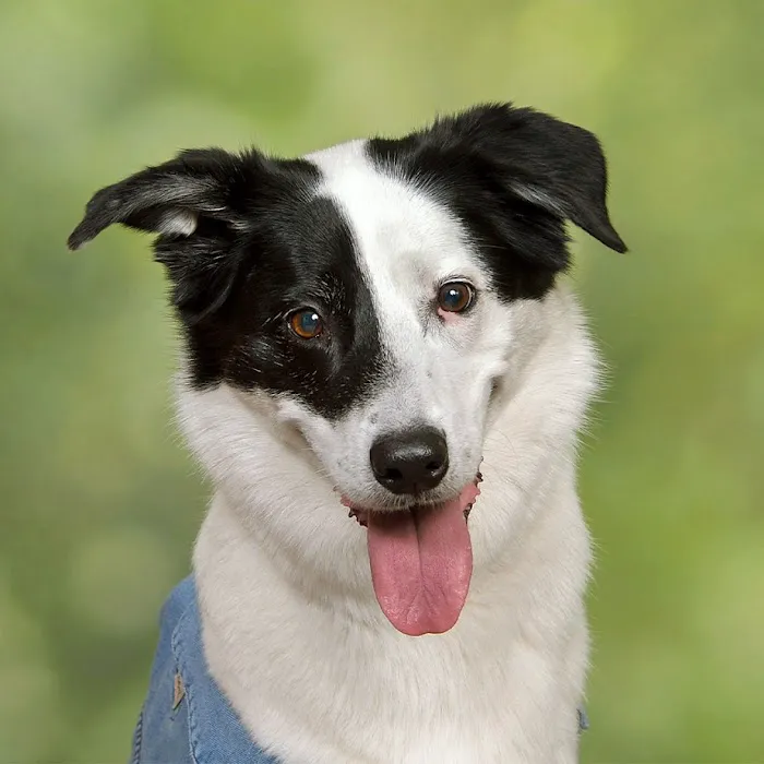 JCPenney Portraits 4