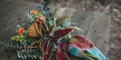VILLETTO PHOTOGRAPHY