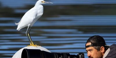 Best Camera Stores for Wildlife Photography in the USA