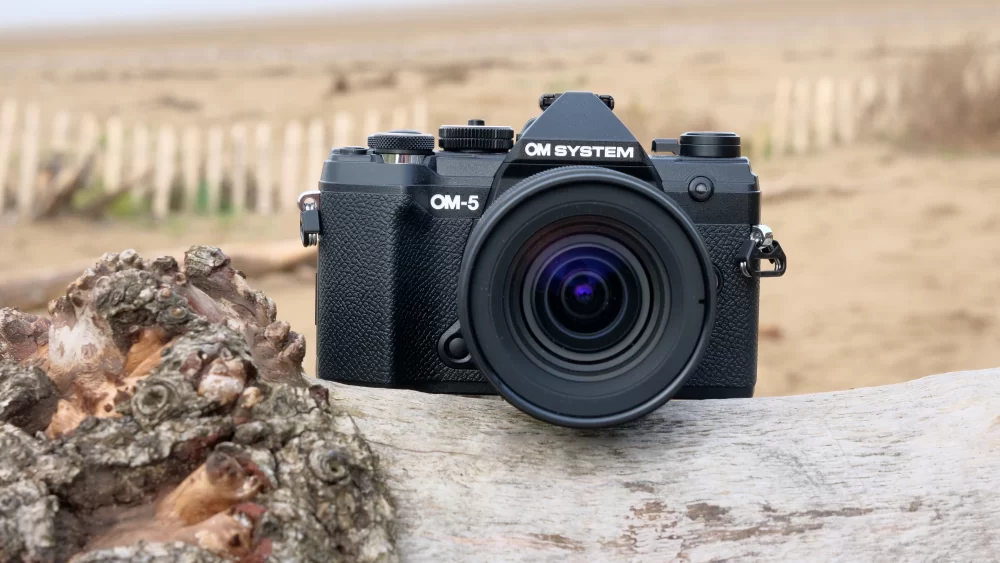 Best Cameras for Travel Photography: Top Picks for Your Next Adventure